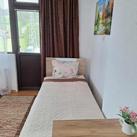 здравец Pensjonat 3*