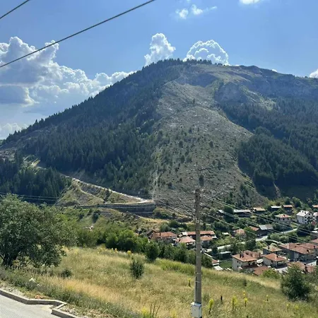 здравец Триград