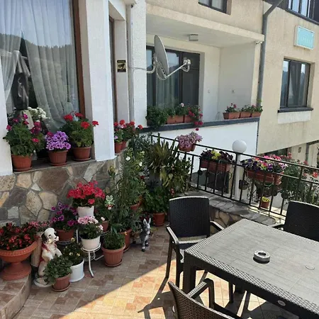 здравец Maison d'hôtes Trigrad
