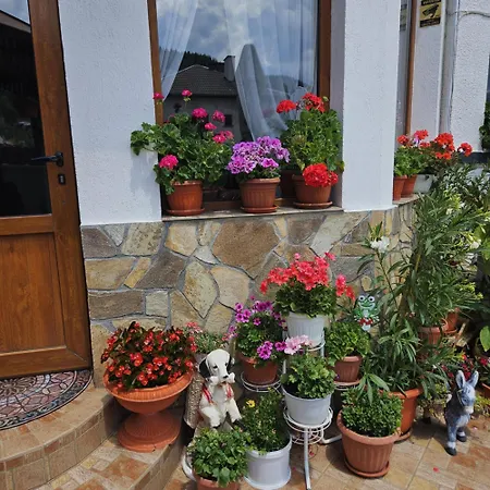 здравец Maison d'hôtes Trigrad