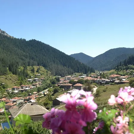 здравец 3* Trigrad