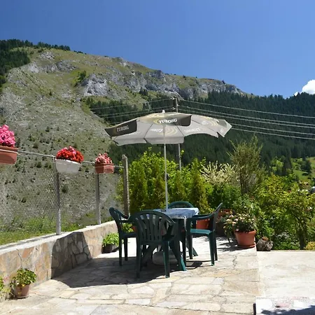 здравец 3* Trigrad