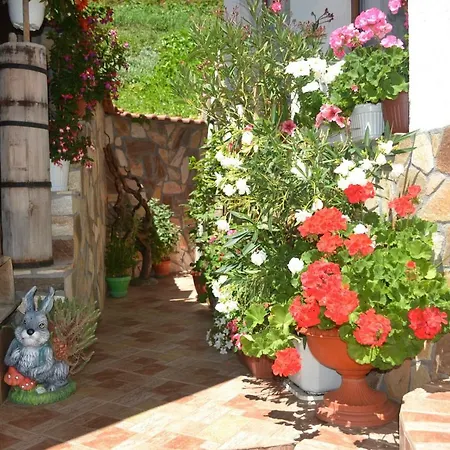 здравец 3* Trigrad