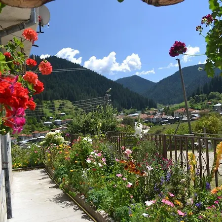 здравец Vendégház