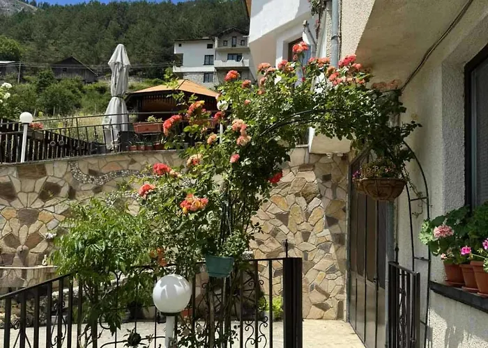 Gasthuis здравец Trigrad