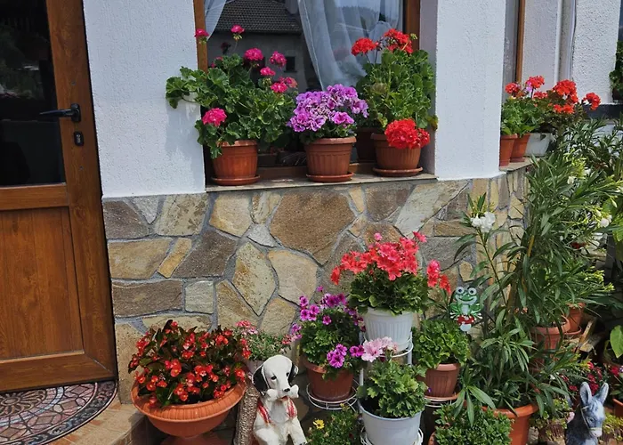 здравец Gasthuis Trigrad