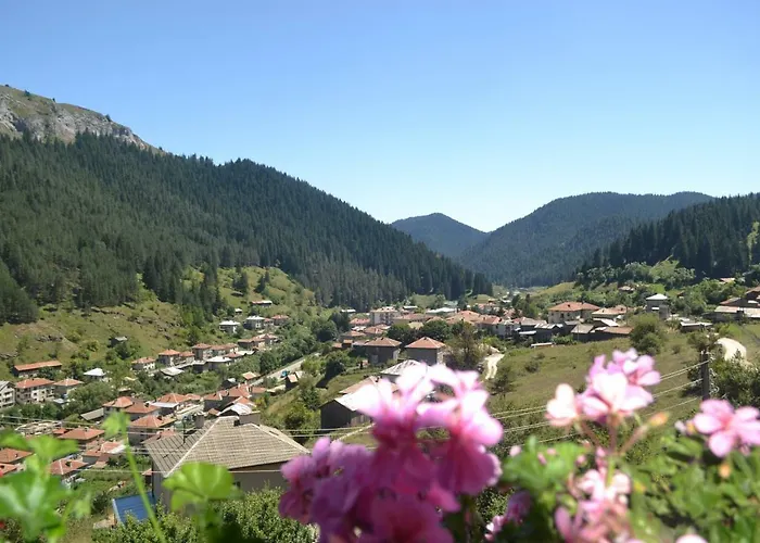 здравец 3* Trigrad