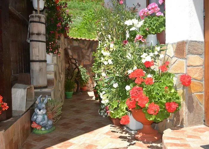 здравец 3* Trigrad