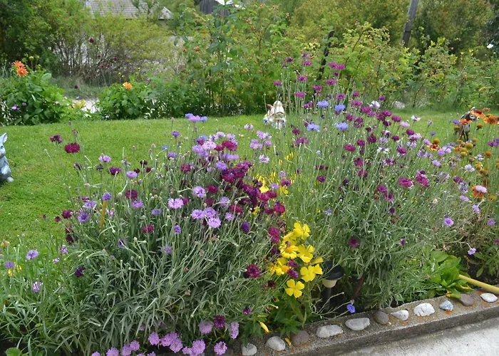 здравец Gasthuis